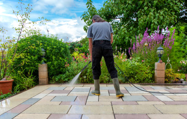 Best Gutter Cleaning and Brightening in Highwood, IL